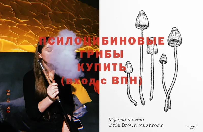 Галлюциногенные грибы MAGIC MUSHROOMS  Гурьевск 